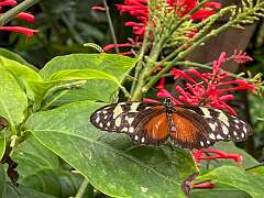 115: Xue-MingBao_2025-62