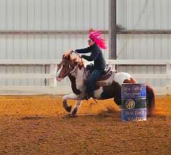 52: wendyTao_2025-55