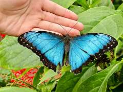 19: wendyTao_2025-67