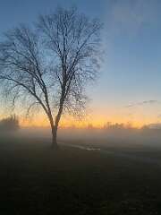 137: BerniceBailine_2025-50