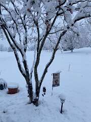 31: BerniceBailine_2025-53