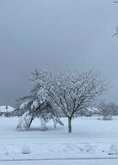 262: BerniceBailine_2025-64