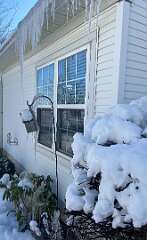 267: BerniceBailine_2025-65