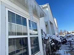 125: BerniceBailine_2025-70