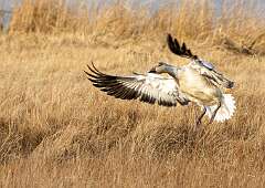 154: BillKirms_2025-347