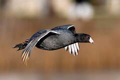 304: BillKirms_2025-349