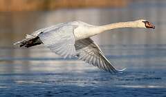 97: BillKirms_2025-357