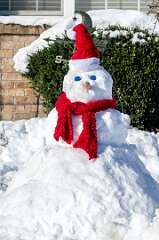 210: BillKirms_2025-370