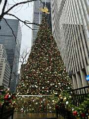 195: CarolAnnManfria_2025-47