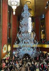 27: CarolAnnManfria_2025-50