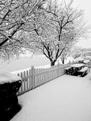 163: DanBrainum_2025-4