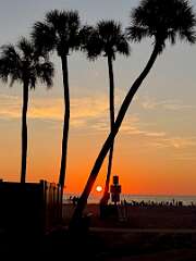 164: DanBrainum_2025-6