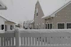 273: DonManfria_2025-303