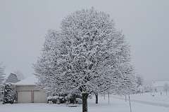 98: DonManfria_2025-304