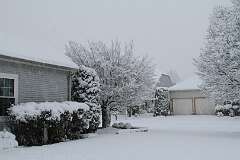 121: DonManfria_2025-305