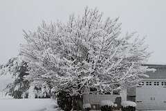 68: DonManfria_2025-309