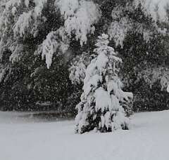 57: DonManfria_2025-311