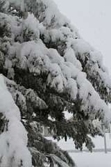 249: DonManfria_2025-312