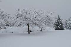 215: DonManfria_2025-313