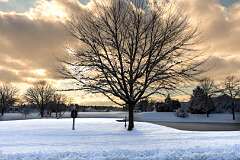 55: ErnieStandard_2025-22