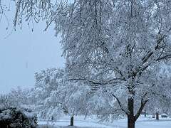 191: KathleenMiddleton_2025-5