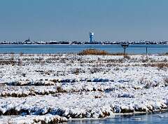 1: MarkShelly_2025-283