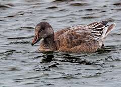 228: MarkShelly_2025-285