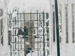 115: MikeGlass_2025-60