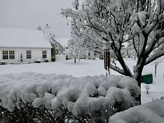 9: MikeGlass_2025-66