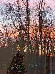 296: jenCurcione_2025-79