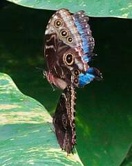 256: wendyTao_2025-62