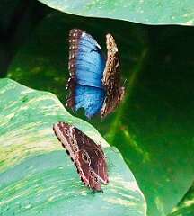 29: wendyTao_2025-63