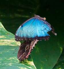 307: wendyTao_2025-66