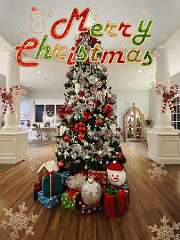 122: wendyTao_2025-81