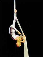 180: wendyTao_2025-86