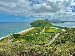 138: wendyTao_2025-96