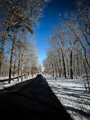 112: AlanToplitz_2026-3