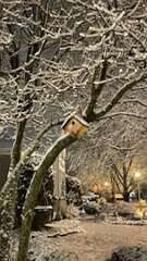 222: AnnaSheldon_2026-1