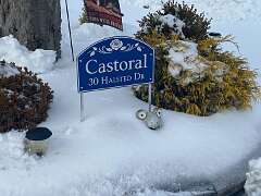 67: BerniceBaline_2026-19