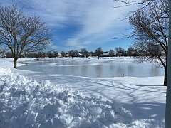 223: BerniceBaline_2026-28