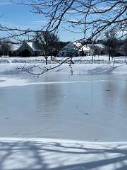 130: BerniceBaline_2026-29