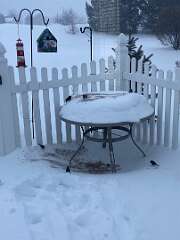 227: BerniceBaline_2026-3