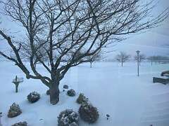 191: BerniceBaline_2026-4