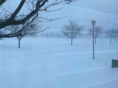 155: BerniceBaline_2026-6