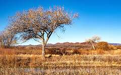 160: BillKirms_2026-23