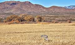 192: BillKirms_2026-25