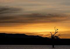 15: BillKirms_2026-32