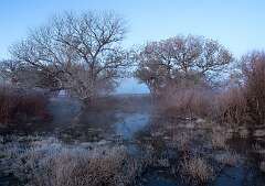 166: BillKirms_2026-33