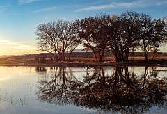 82: BillKirms_2026-41