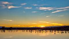 141: BillKirms_2026-42